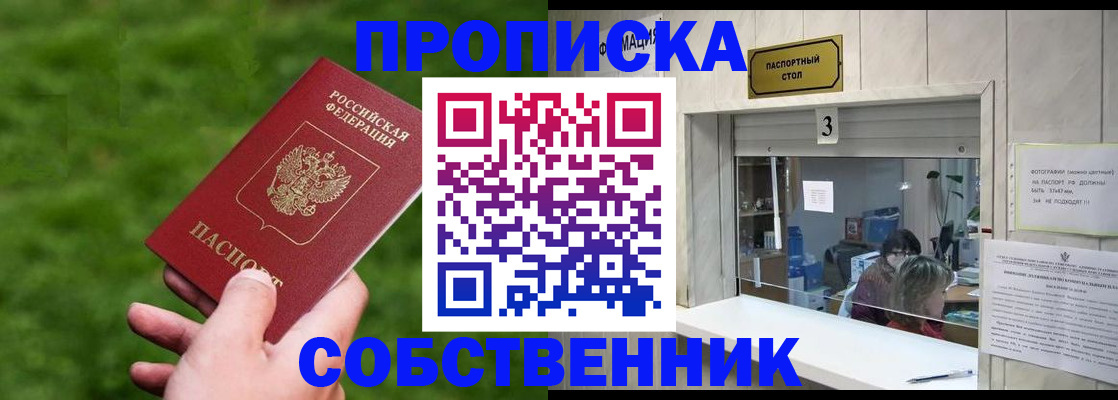 прописка поиск в Кингисеппе